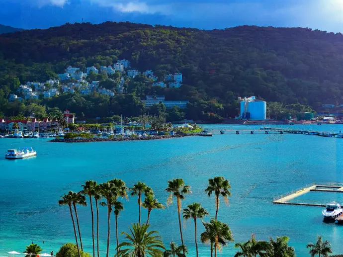 green palm trees near body of water during daytime